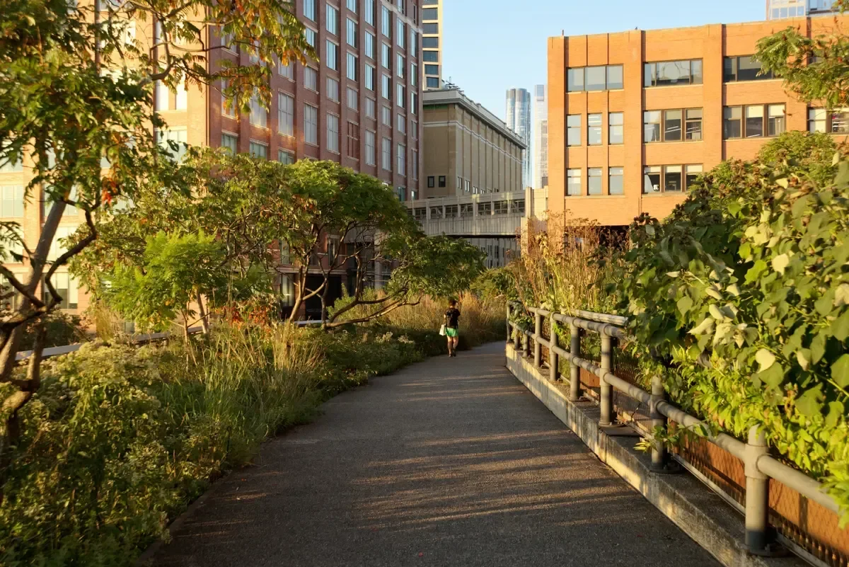 The planted walkway of the High Line between Chelsea towers in late afternoon light, part of a New York architecture tour
