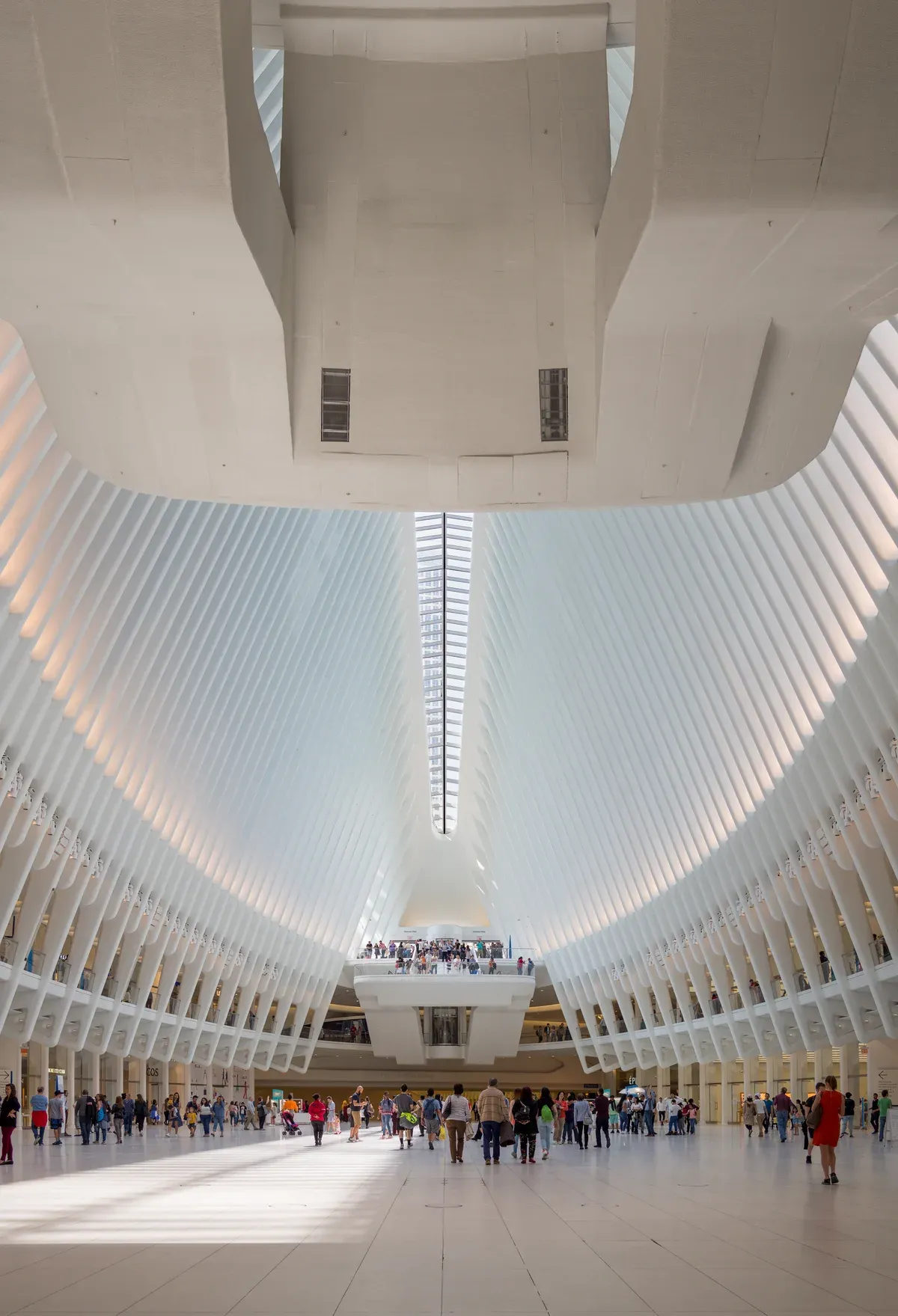 The white rib-vaulted concourse of the Oculus at the World Trade Center station, on a New York architecture tour